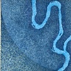 
Meandering Waves