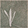 
Growth Patterns: Grey and Green