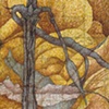 Watercolor - Organic Forms