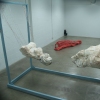 installation view 1