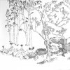 drawings 2005
