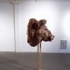 Hog Head Profile