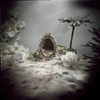 Curious Dream #2