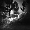 Curious Dream #25