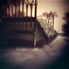 Curious Dream #17