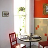 Murals and Installation