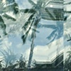 Palms, Mission