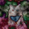 Mr. Kitty