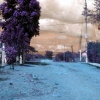 Street in Lezama