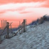 Dunes-Cape Cod