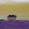 House-Cape Cod