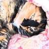 Vivid Cat