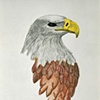 AVAILABLE REPRODUCTIONS