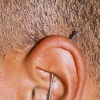 ear project piercing by tatupaul