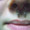 septum piercing by tatupaul