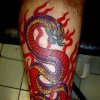 japanese snake tattoo by tatupaul