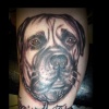 mastiff dog tattoo by tatupaul