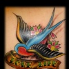 traditional swallows tattoo by tatupaul