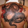 back piece dragon tattoo by tatupaul