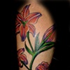 tulips tattoo by tatupaul