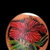 realistic rose tattoo by tatupaul