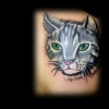 realistic cat tattoo by tatupaul