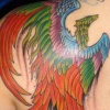 pheonix tattoo by tatupaul