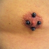 nipple piercing by tatupaul