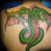 dragonn tattoo by tatupaul