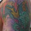 Lady Dragon