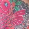 Koi Fish