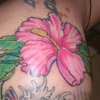 more flowers