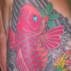 Koi