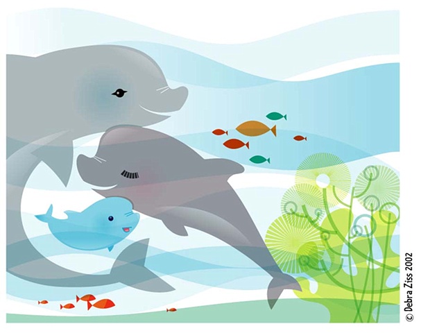 Little Dolphin with Mom and Dad