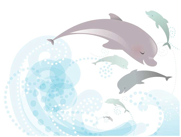 Dolphins Leaping 