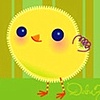 Baby Chicks