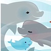 Little Dolphin with Mom and Dad