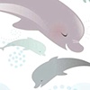 Dolphins Leaping 
