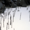 rocks and rocks and caves and dreams (detail)