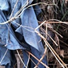 Riverbed, #6