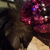 Miranda's Wig, #2