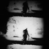 Gossamer Walls (still #4)