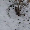 View From My Window, #4