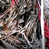 Riverbed, #5