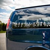 Decal. 