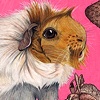 Guinea Pigs Made the Pompadour Famous way Before Morrissey