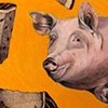A Pig Supreme