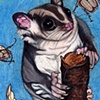 Sugar Gliders Need Hugs too