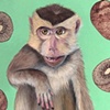 Monkey Trouble