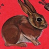 Bunnies Can't Cluck